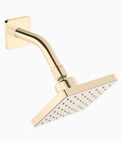 22645IN-AF ABS Showerhead with Shower Arm, Vibrant French Finish (Gold)