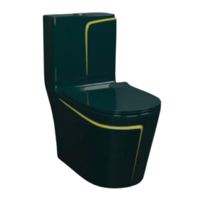 modern western toilet in glossy black with golden line