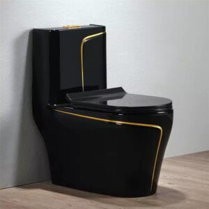 Ceramic Western Toilet Commode/European Commode/Water Closet For Bathroom 12" - S Trap Is From Floor (Black Glossy)