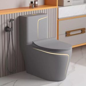 Ceramic P Trap Western Toilet Commode/European Commode – Wall Outlet (Grey Glossy)